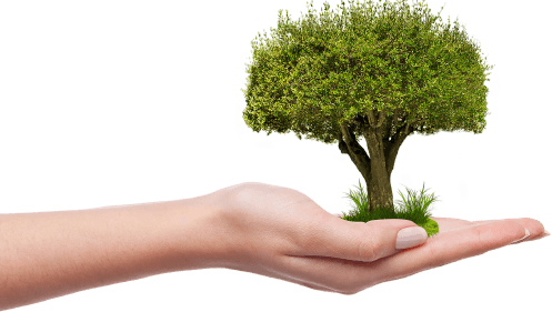 Mano arbol ecogranic