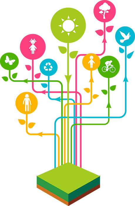 Tree ecologic effect